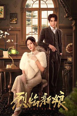 陕西省网站优化厂家